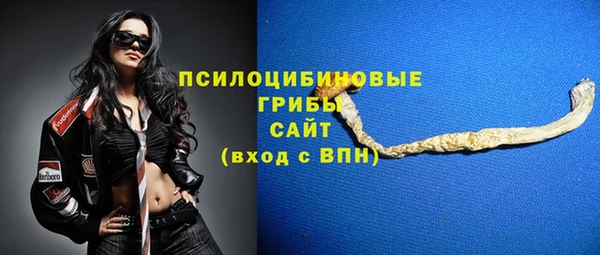 гидропоника Арсеньев