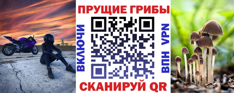 Галлюциногенные грибы мухоморы  дарк нет формула  Новое Девяткино 